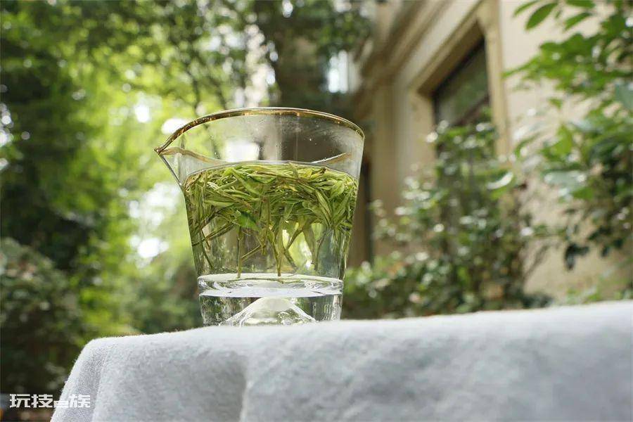 泡绿茶用什么茶具最好(冲泡绿茶选用什么样的容器好喝)-图片8